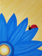 Load image into Gallery viewer, SplashKit (Lady Rays) - SplashKits