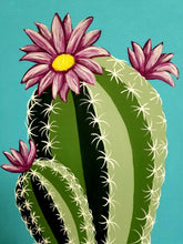 Load image into Gallery viewer, SplashKit (Blossoming Cactus) - SplashKits