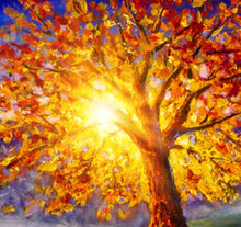 Load image into Gallery viewer, Brilliant Membership