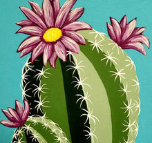 Load image into Gallery viewer, SplashKit (Blossoming Cactus)